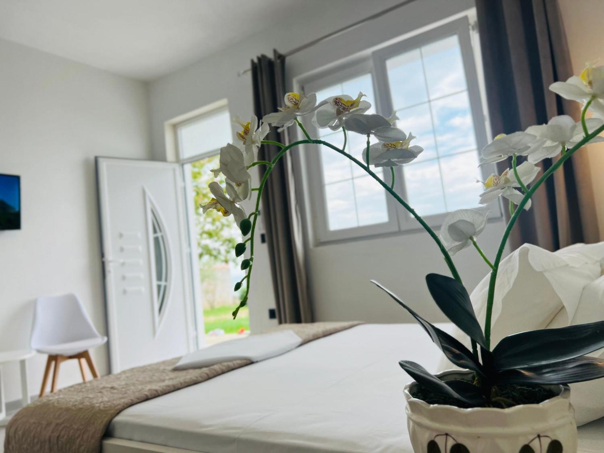 Iart Residence Široka Εξωτερικό φωτογραφία
